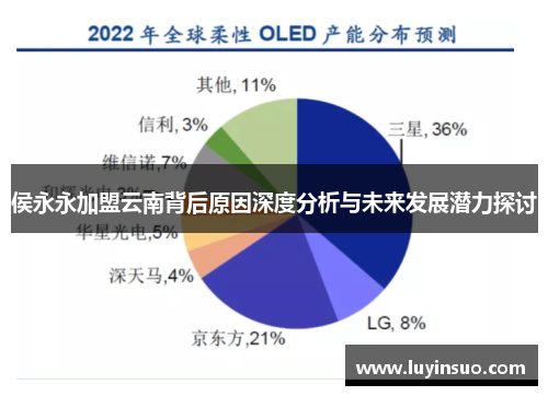 侯永永加盟云南背后原因深度分析与未来发展潜力探讨